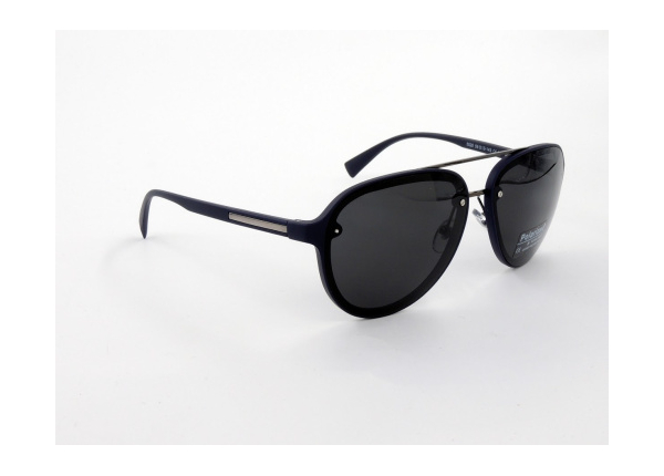 Noises Polarized 5028