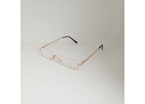 Готовые очки Read WDL p309