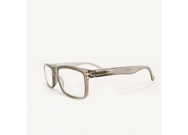 Готовые очки OCEAN OC021