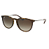 Ray Ban 0RB4171 Солнцезащитные очки