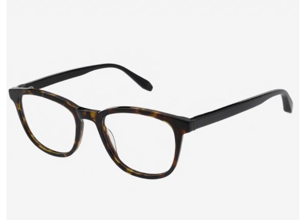 Оправа HACKETT 1388 119 GLOSS DARK TORTORISESHELL