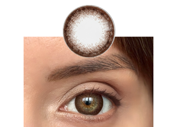 WDL COLOR MONTHLY BROWN