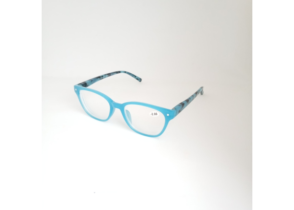 Готовые очки Read WDL p305