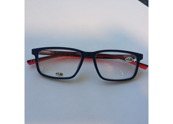 Готовые очки LIFESTYLE LS005