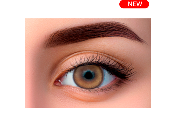 WDL COLOR MONTHLY HONEY