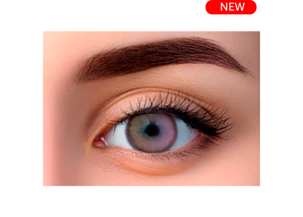 WDL COLOR MONTHLY VIOLET