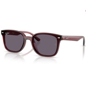 RAY BAN 0RB4461D 659373 64 Солнцезащитные очки