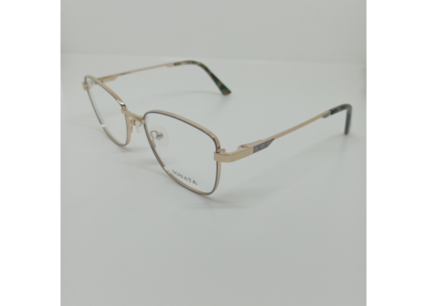 Оправа SONATA WO203