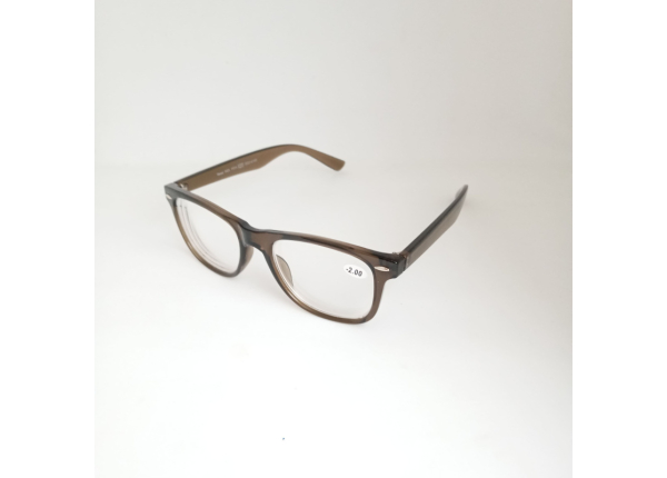 Готовые очки Read WDL p311