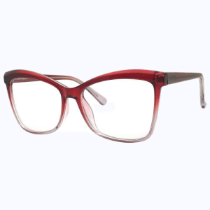 Оправа LIFESTYLE LH3002