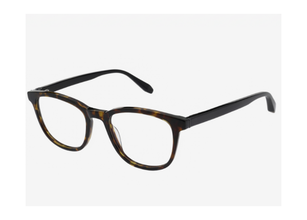 Оправа HACKETT 1388 119 GLOSS DARK TORTORISESHELL