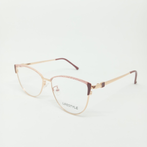 Оправа LIFESTYLE G95-173