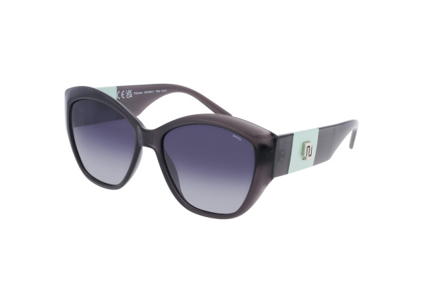 Солнцезащитные очки INVU IB22526C с чехлом 20201