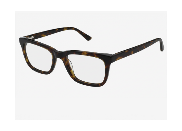 Оправа PEPE JEANS AMERSHAM 3640 119 TORTOISESHEL