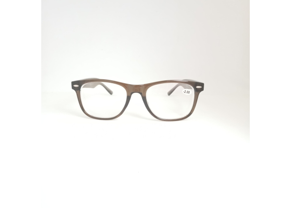 Готовые очки Read WDL p311