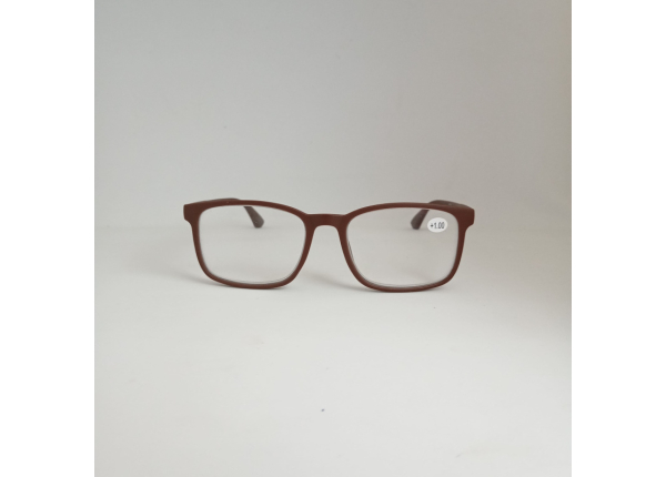Готовые очки Read WDL p308