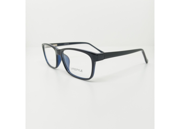 Оправа LIFESTYLE 2195