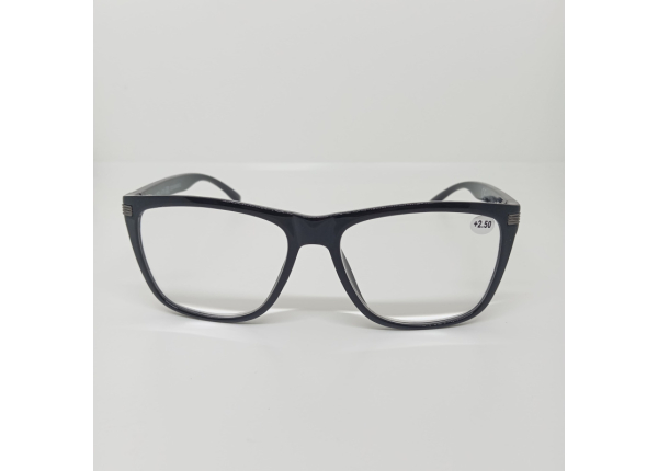 Готовые очки Read WDL p735