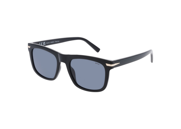 INVU IB22505A с чехлом 20201 Солнцезащитные очки