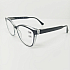 Готовые очки Read WDL p337