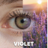WDL COLOR MONTHLY VIOLET