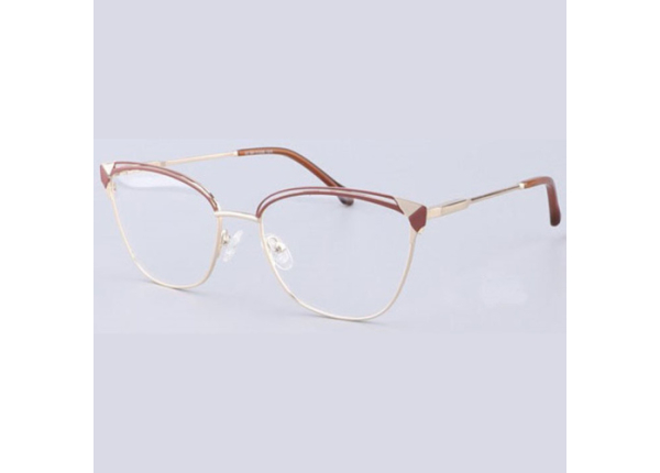 Оправа SONATA 3121