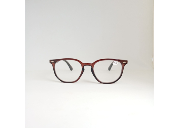 Готовые очки Read WDL p319