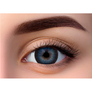 WDL COLOR MONTHLY BLUE