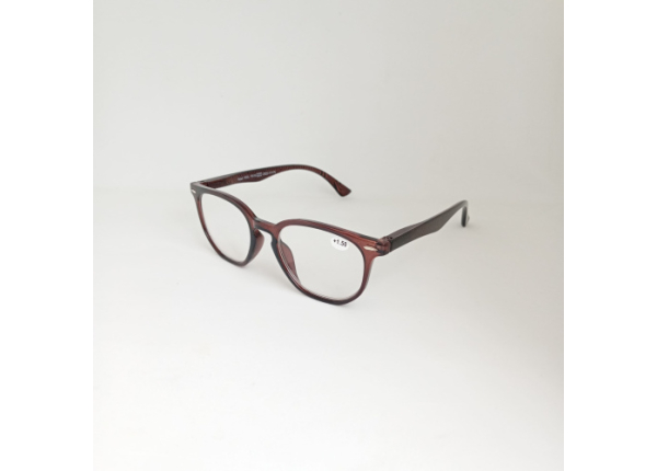 Готовые очки Read WDL p319