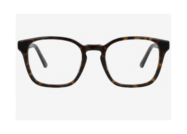 Оправа PEPE JEANS DEBDEN 3643 119 TORTOISESHELL