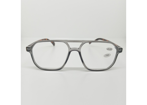 Готовые очки Read WDL p745