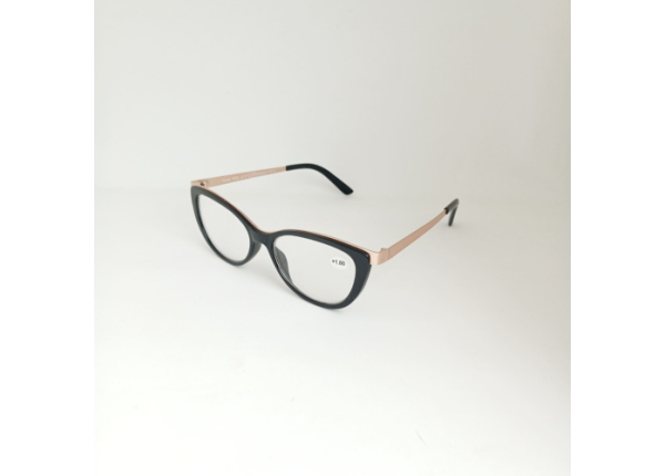 Готовые очки Read WDL p731