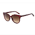 Ted baker solene 1539 Солнцезащитные очки