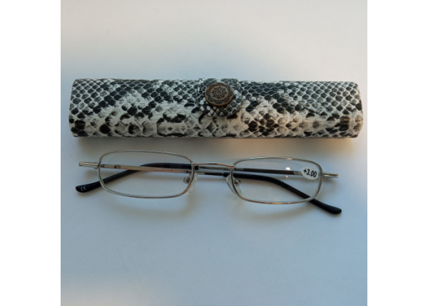 Готовые очки Read WDL p404 +3