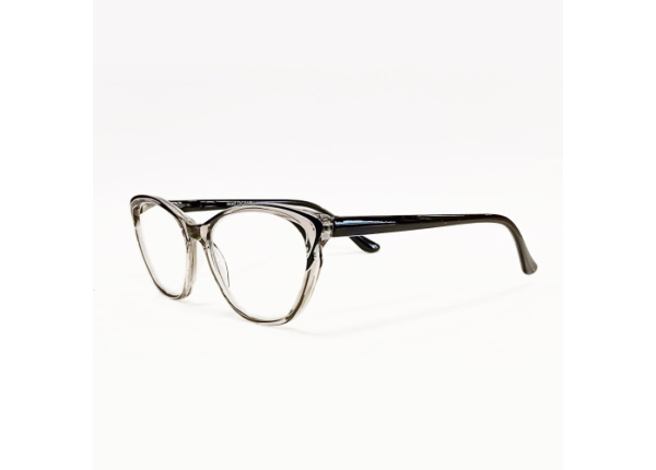 Готовые очки OCEAN OC018