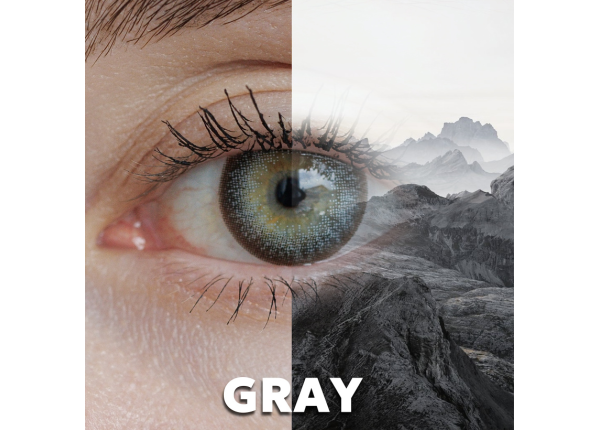 WDL COLOR MONTHLY GRAY