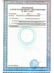 Систейн Ультра_1