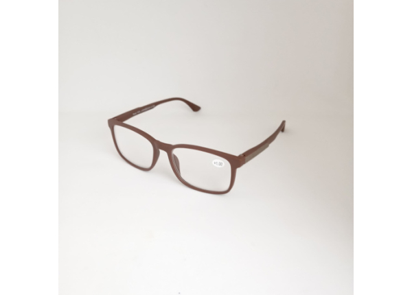 Готовые очки Read WDL p308