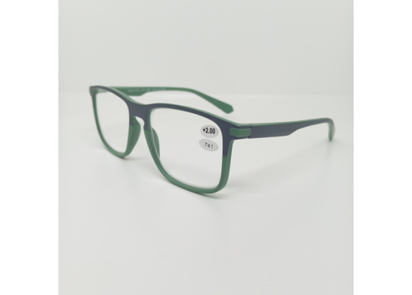 Готовые очки Read WDL p741