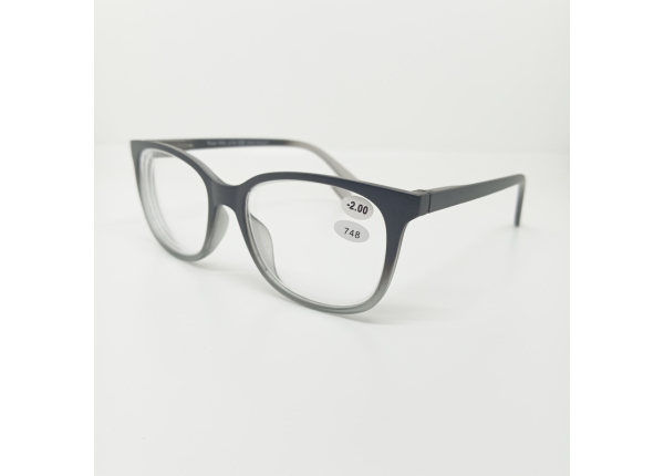 Готовые очки Read WDL p748