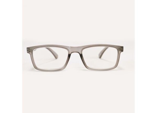 Готовые очки OCEAN OC021