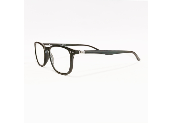 Готовые очки OCEAN OC011