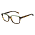 Оправа TED BAKER WILLIAN 8260 104