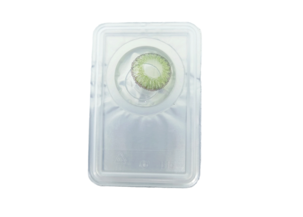 WDL COLOR MONTHLY FOREST