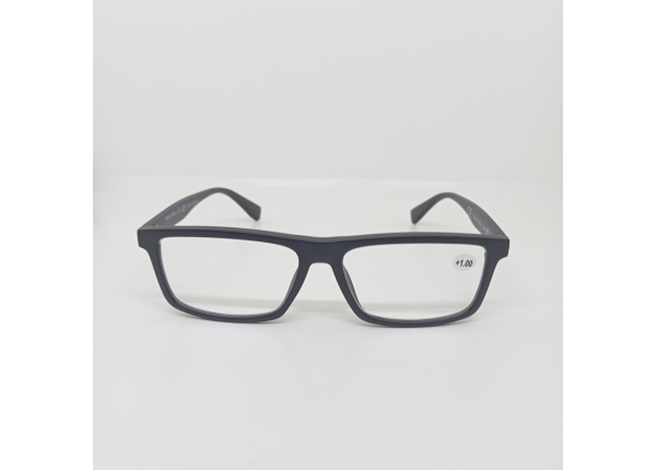 Готовые очки Read WDL p733
