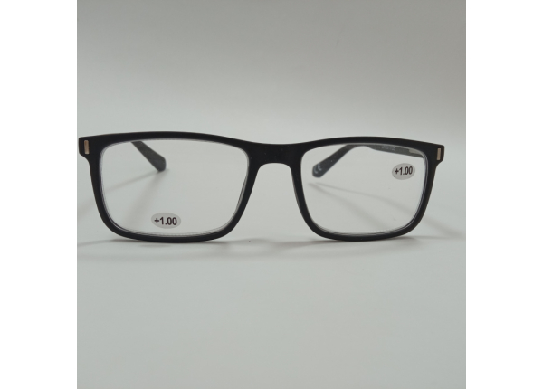 Готовые очки LIFESTYLE LS002