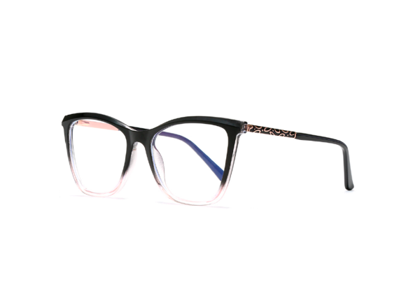 Оправа LIFESTYLE SH2201