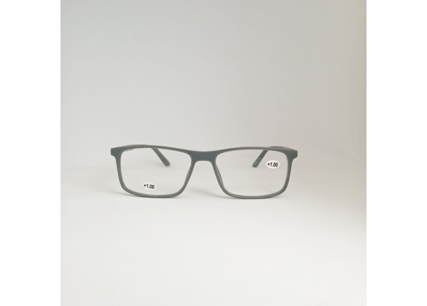 Готовые очки LIFESTYLE LS014