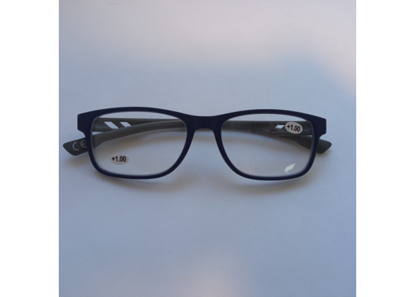 Готовые очки LIFESTYLE LS012