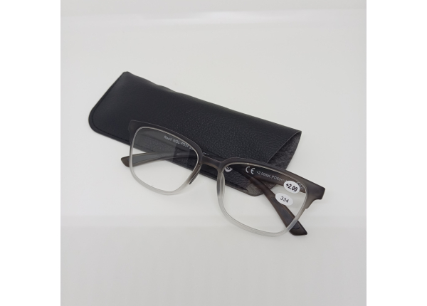 Готовые очки Read WDL p337